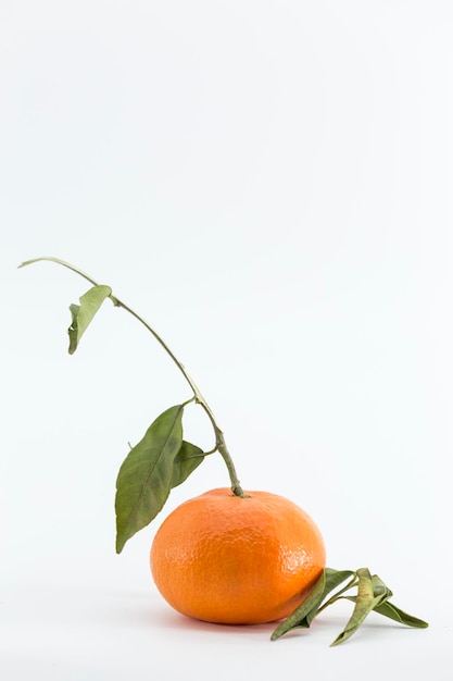 Retrato de una mandarina con tallo y hojas verdes, aislado sobre un fondo blanco.