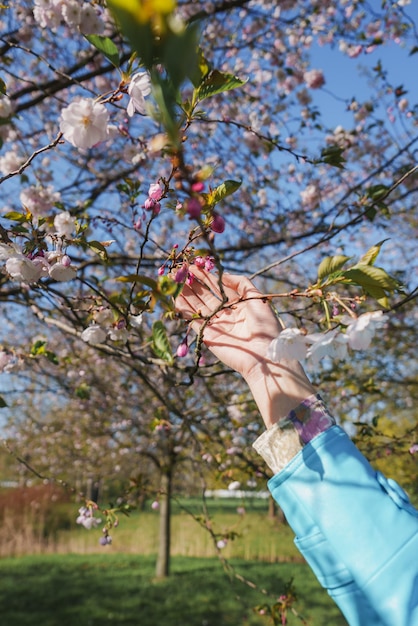 Retrato de moda de verano de una mujer rubia muy bonita posando en el fondo de un árbol de sakura en flor increíble