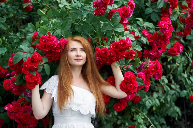 El retrato de una muchacha bonita del pelirrojo se vistió en un vestido de la luz blanca en un fondo de rosas florecientes.