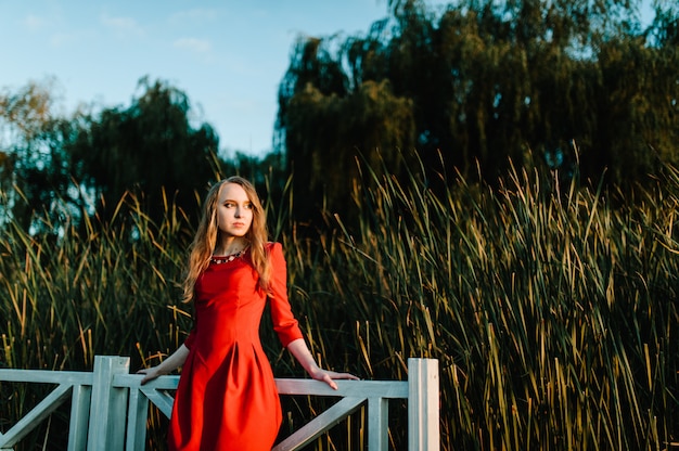 El retrato de una muchacha hermosa se coloca en otoño en un vestido rojo contra el fondo cerca de la cerca en la naturaleza.