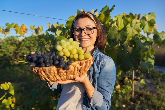 Retrato de mujer feliz con canasta de uvas. Hembra en viñedo con cultivo de uvas verdes y azules, puesta de sol, verano, otoño. Concepto de viticultura, jardinería, aficiones y ocio.