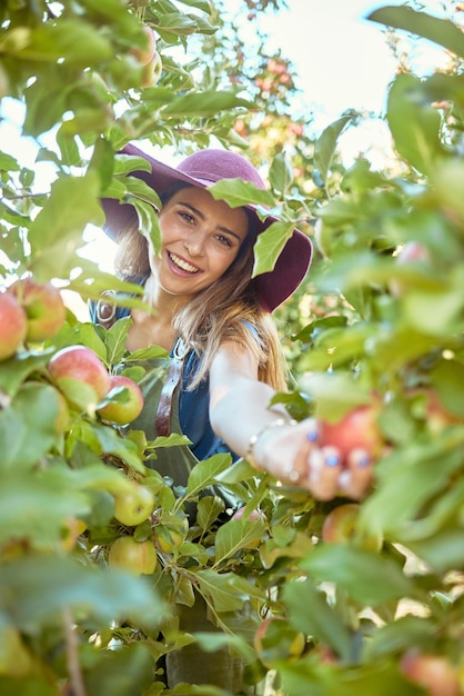 Retrato de una mujer feliz que llega a recoger manzanas rojas frescas de los árboles en tierras de cultivo sostenibles al aire libre en un día soleado Granjero alegre cosechando fruta orgánica jugosa en temporada para comer