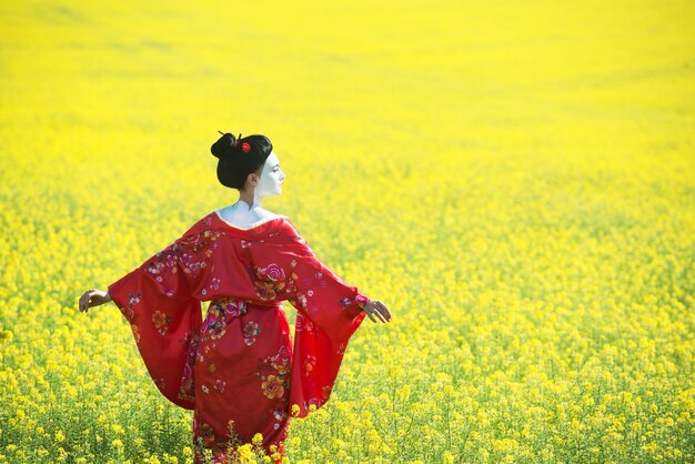 Foto retrato, de, un, mujer, en, geisha, maquillaje, ambulante, en, el, campos