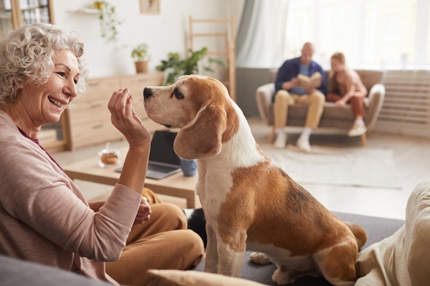Retrato de mujer mayor alegre jugando con perro y dando golosinas mientras disfrutan de tiempo juntos en casa