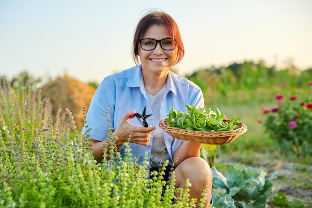 Retrato de una mujer de mediana edad sonriente con hojas de albahaca cortadas en una cesta