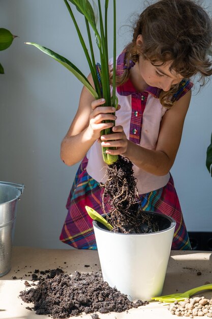 Foto retrato de una mujer con una planta en olla