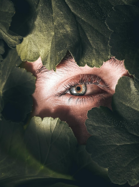 Foto retrato de una mujer en primer plano