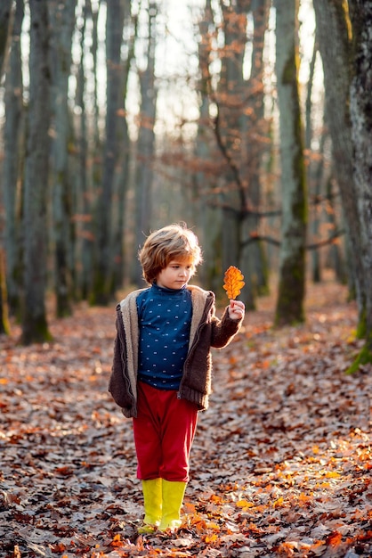 Retrato de niña adorable niño en hermoso día de otoño. Infancia despreocupada.