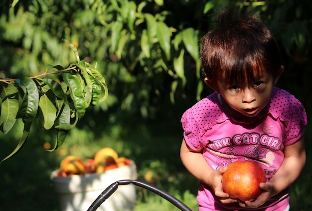 Retrato de una niña con un melocotón en la granja.