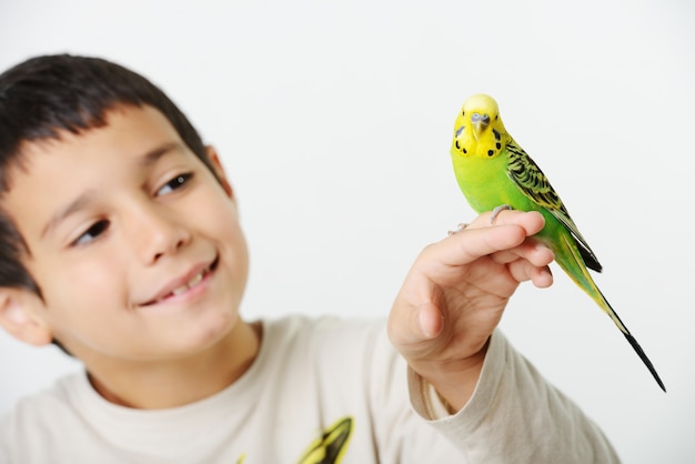 Foto retrato de una niña niño con su loro doméstico