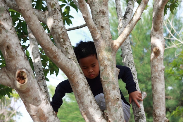 Retrato de un niño asiático feliz subiendo a un árbol en el parque