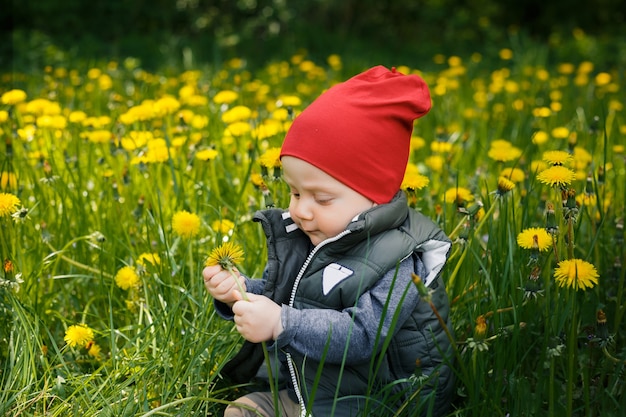 Retrato de un niño caucásico blanco con un sombrero rojo. Un niño se sienta en la hierba entre dientes de león amarillos en el parque.