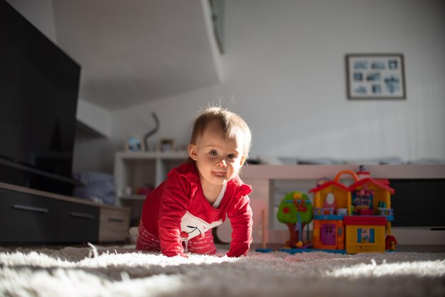 Retrato de un niño de cuatro patas en un interior brillante