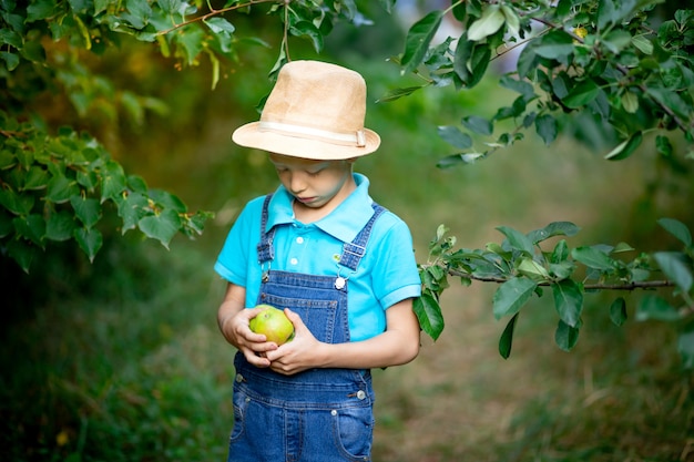 Retrato de un niño enojado de seis años en ropa azul y sombrero en un jardín con manzanos y sosteniendo manzanas