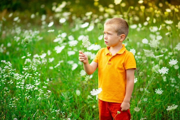 Retrato de un niño feliz en un campo con flores, un niño oliendo flores en un campo