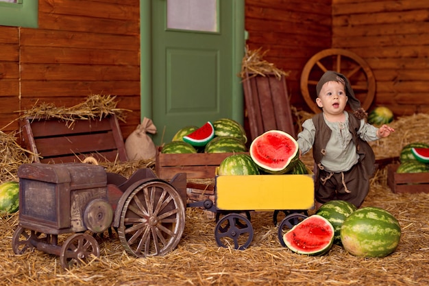 Retrato de un niño feliz en el campo