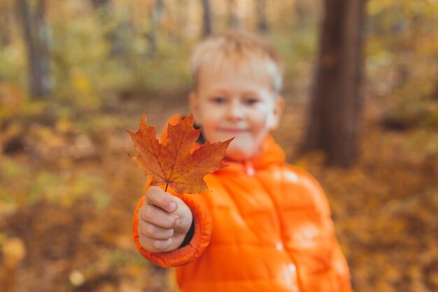 Retrato de niño feliz en chaqueta naranja en otoño parque da hojas de arce y temporada de otoño