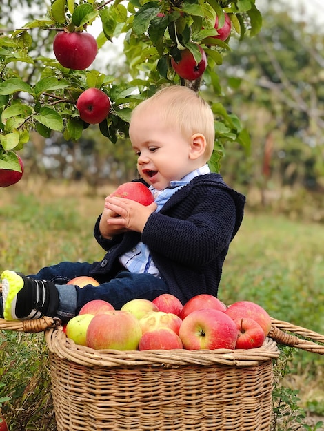 Retrato de niño hermoso comiendo manzana en el césped