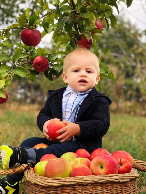 Retrato de niño hermoso comiendo manzana en el césped