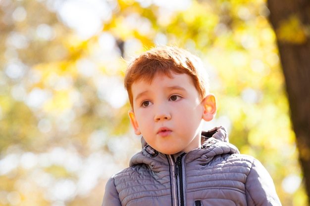 Retrato de un niño hermoso niño durante un paseo por el parque