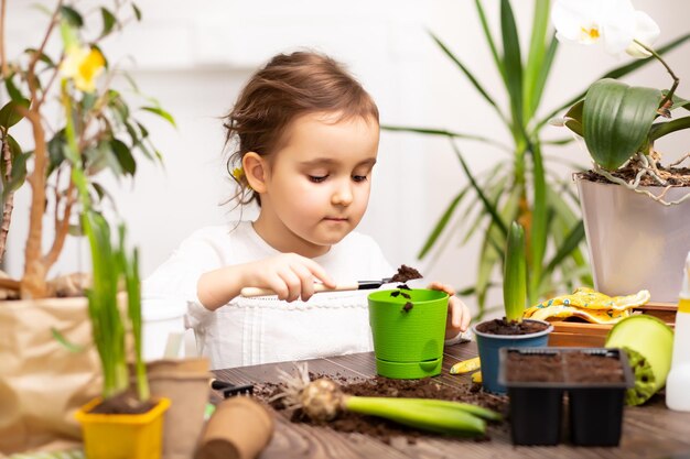 Retrato de un niño jugando con una planta en olla en casa