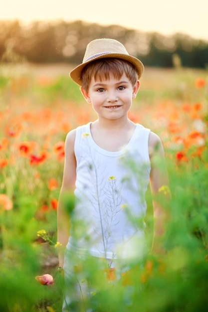 Retrato de niño pequeño en el campo de amapolas