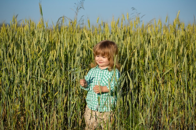 Retrato de un niño pequeño en un campo de trigo al aire libre en la granja Pequeño agricultor Agricultura y jardinería de cosecha de vegetales