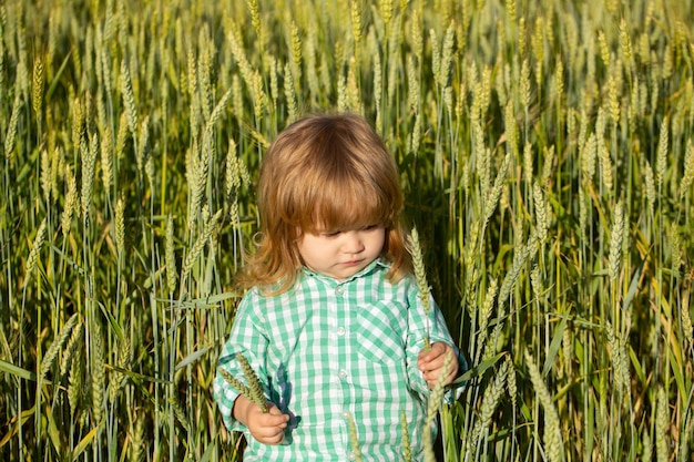Retrato de un niño pequeño en un campo de trigo al aire libre en la granja