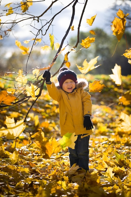 Retrato de niño pequeño feliz en el hermoso parque de otoño en un día soleado. divirtiéndose