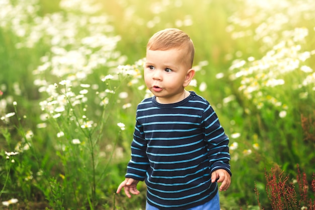 Retrato de un niño pequeño entre flores