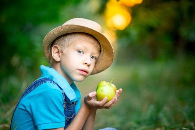 Retrato de un niño de seis años en un huerto de manzanos y sosteniendo manzanas