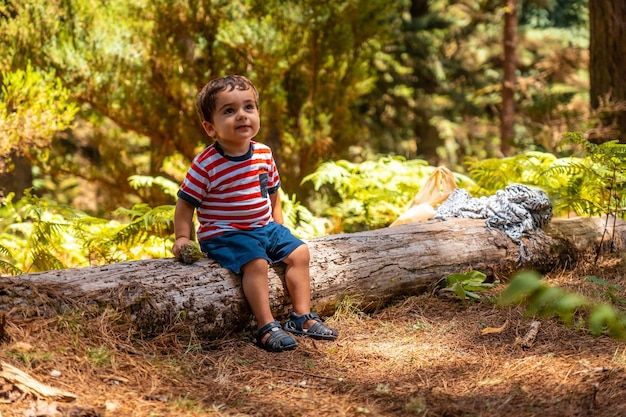 Retrato de un niño sentado en un árbol en la naturaleza junto a pinos Madeira Portugal