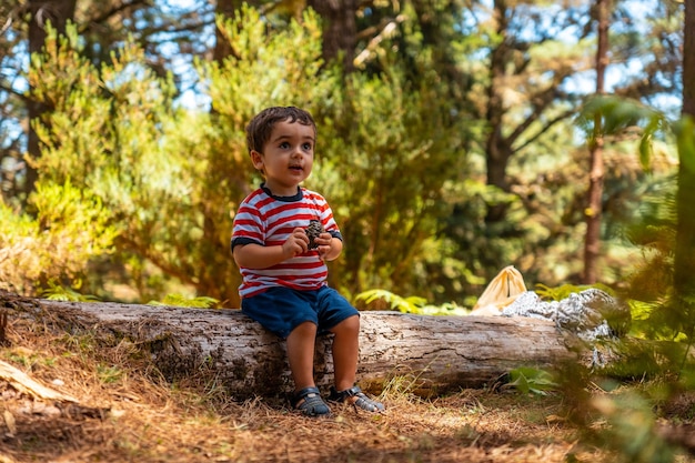 Retrato de un niño sentado en un árbol en la naturaleza junto a pinos en primavera Madeira Portugal