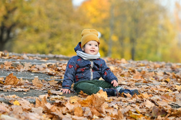 Retrato de un niño sentado en un follaje amarillo.