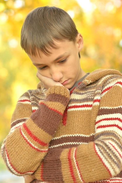 Retrato de un niño triste al aire libre en el parque otoñal