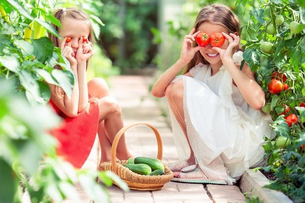 Retrato de niños con los tomates grandes en manos en invernadero