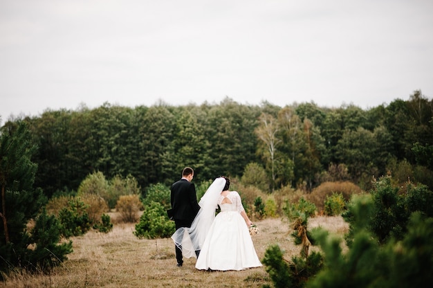 Retrato de novios jóvenes están caminando de espaldas en el bosque