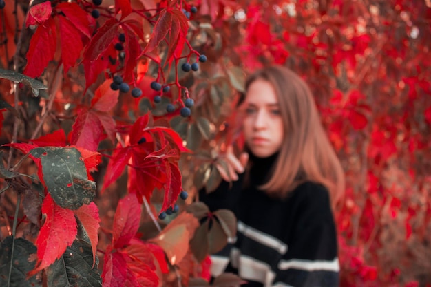 Retrato de otoño de una hermosa mujer linda contra un fondo de hojas rojas brillantes suéter negro