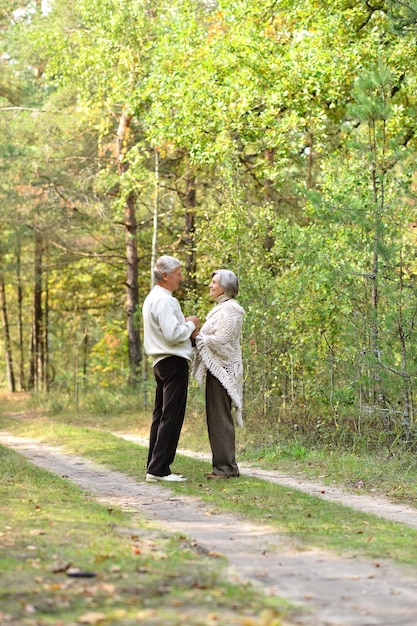 Retrato de pareja de ancianos caminando en el bosque de otoño