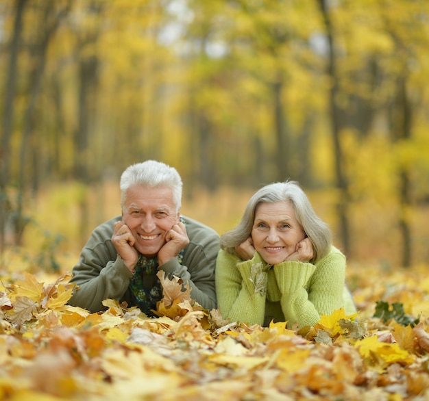 Retrato, de, un, pareja madura, acostado, en, hojas, en, el, otoño, parque