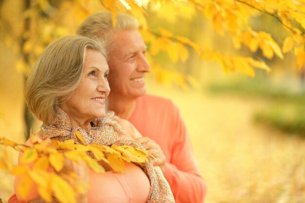 Retrato de una pareja madura en el parque de otoño