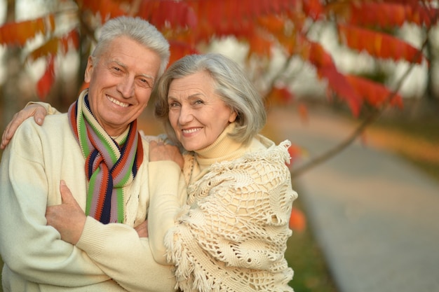 Retrato, de, un, pareja mayor, descansar, en, otoño, parque