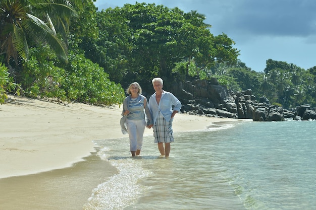 retrato, de, pareja mayor, descansar, en, playa, viaje