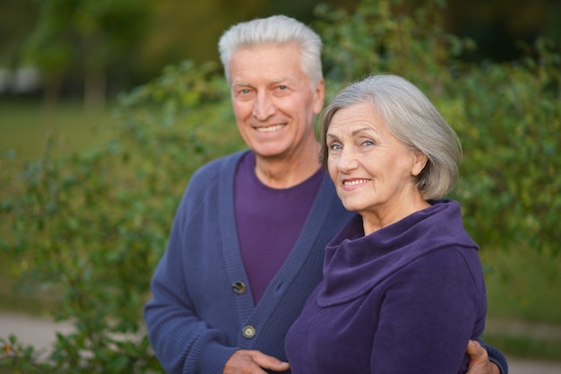 Retrato, de, un, pareja mayor, en, otoño, parque