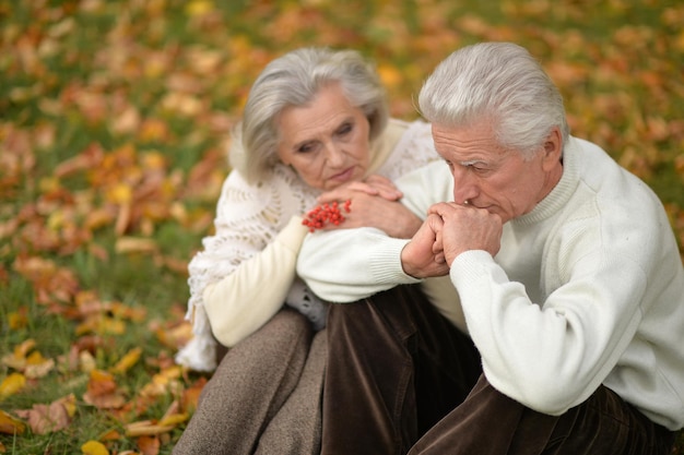 Retrato, de, un, pareja mayor, en, otoño, parque