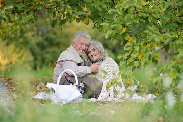 retrato, de, pareja mayor, teniendo, comida campestre al aire libre