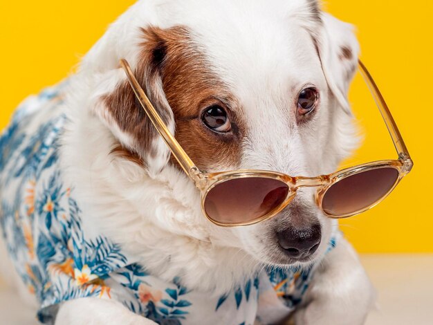 Retrato de un perro con una camisa hawaiana y gafas de sol sobre un fondo amarillo Concepto de viaje de vacaciones de verano