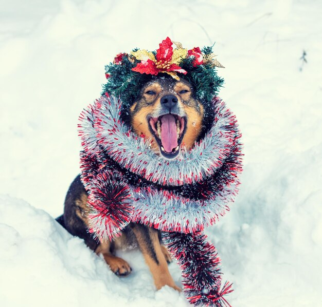 Retrato de un perro enredado en oropel colorido y corona de Navidad coronada Perro caminando en la nieve al aire libre