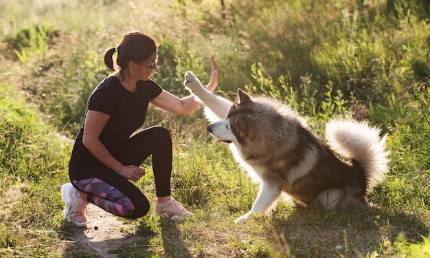 Retrato de perro malamut de Alaska con dueño