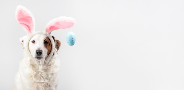 Retrato de un perro con orejas de conejo y huevos de Pascua